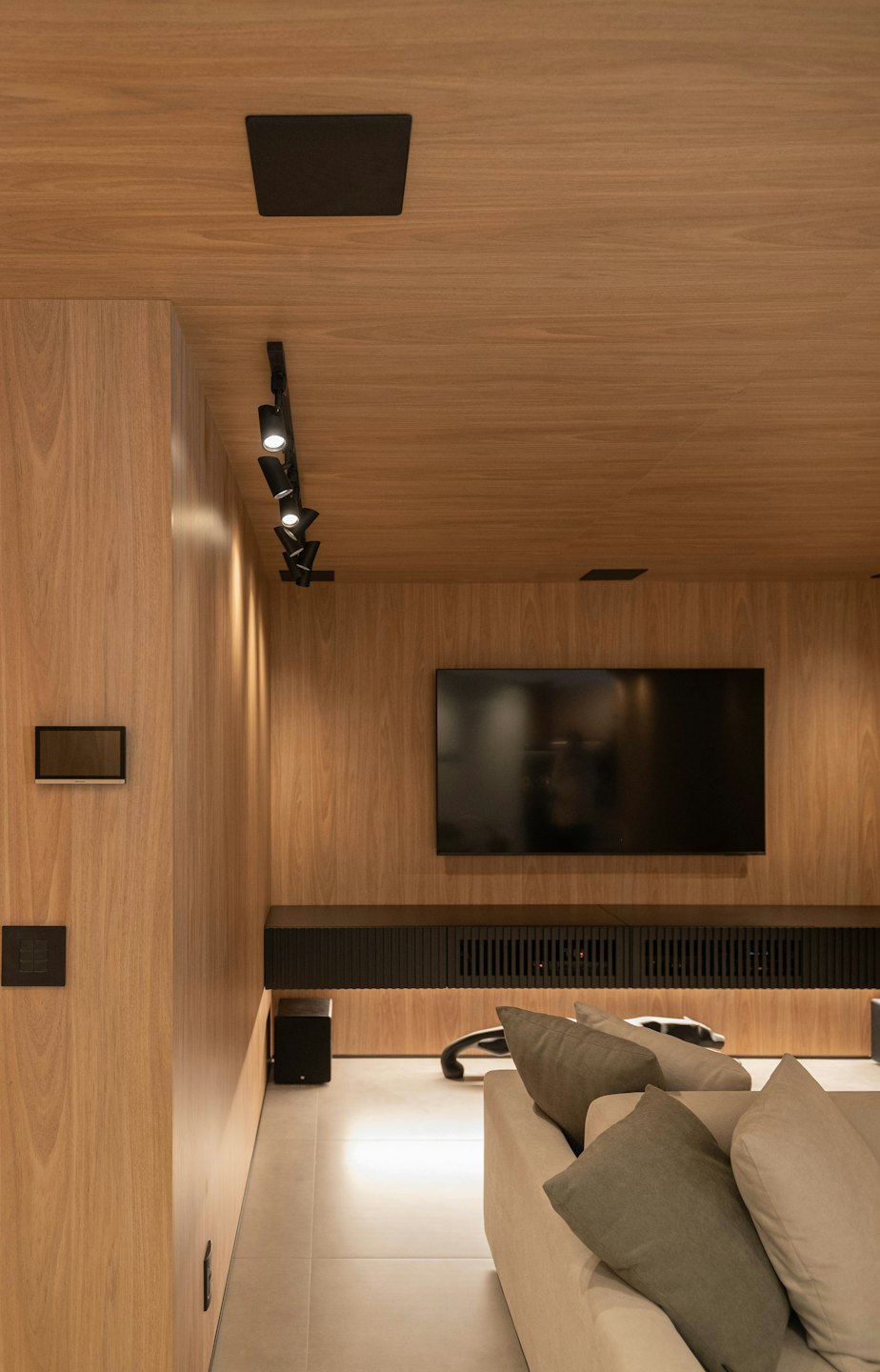Modern living room with TV and sofa.